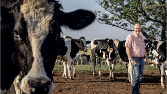 As cooperativas mais ricas do Paraná